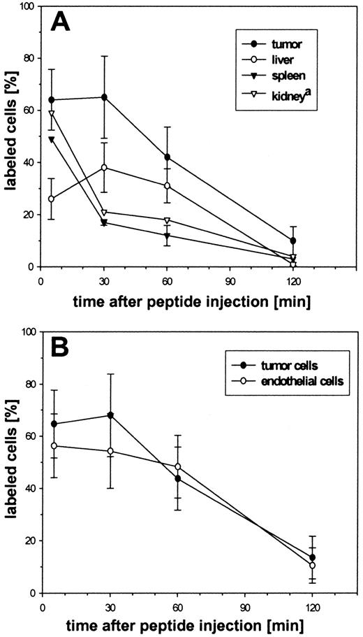 Fig. 5. RGD-FITC-peptide (100 μg) was injected into the tail vein of mice bearing MDA-MB 435 breast-carcinoma tumors (∼1 cm in diameter). After the indicated time points the mice were sacrificed, samples were taken, and FITC fluorescence was measured by FACS. A, the percentage of labeled cells (fluorescence value of cells was more than the cutoff determined with control cells) for tumor-derived cells and various control organs and the SE from three independent sets of experiments (kidney, data resulted from one experiment). B, the percentage of labeled cells (the fluorescence value of the cells is more than the cutoff value determined with control cells) for tumor cells and endothelial cells and the SE from three independent sets of experiments. The percentage of labeled cells is calculated for 100% of the cells from each population.