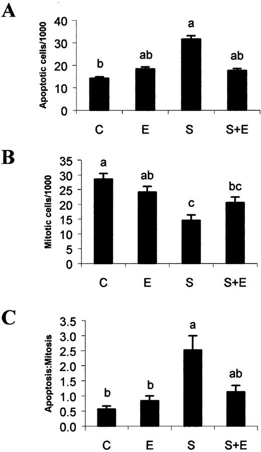 Fig. 1. Effect of sulindac (S), EPR-A (E), and sulindac + EPR-A (S+E) compared with control (C) on (A) apoptosis, (B) mitosis, and (C) ratio of apoptosis:mitosis in tumors of ApcMin/+ mice as determined histologically after H&E staining. Graphs show mean values in each group (bars, ± SE). Different superscripts indicate differences among groups at P < 0.05.
