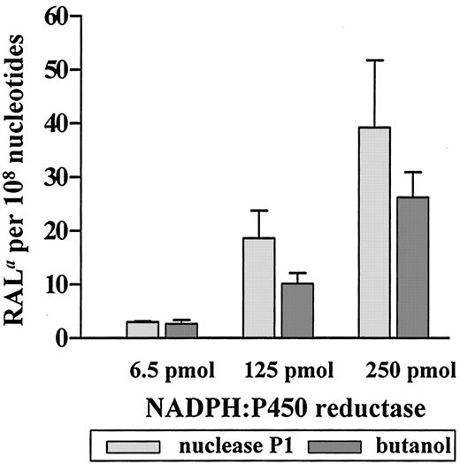 Human Enzymes Involved in the Metabolic Activation of the Environmental