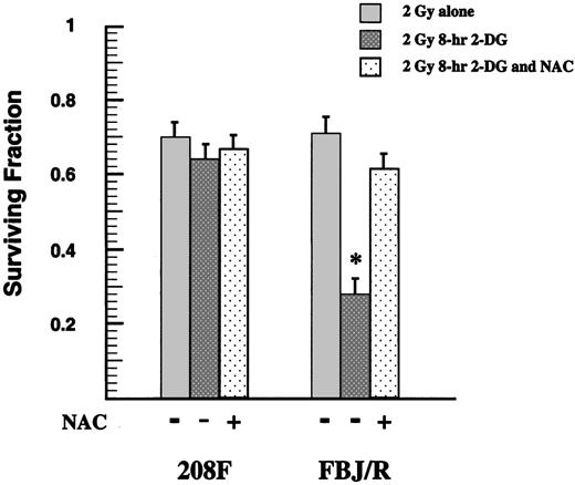 Fig. 8. 2DG-induced radiosensitization in oncogene-transformed fibroblasts is inhibited by treatment with NAC. Clonogenic cell survival of 208F (immortalized rat fibroblasts) and FBJ/R (v-Fos-transformed 208F cells) treated with 2 Gy of IR in the presence and absence of 6 mm 2DG and 30 mm NAC. Surviving fractions are normalized to unirradiated controls from each respective drug-treated group, and errors represent ±1 SD. Statistical relationships between identically treated samples of 208F and FBJ/R cells were determined by two-sample, two-sided t tests. ∗, statistically significant comparisons.