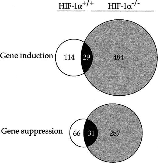 Fig. 1. Venn diagram of genes induced or suppressed >4-fold in HIF-proficient and HIF-1-deficient cells. A total of 5285 expressed genes related to two different phenotypes have been filtered using 4-fold change threshold. Open circles represent genes induced or suppressed in HIF-1-proficient cells. Gray-shaded circles represent genes induced or suppressed in HIF-1-deficient cells. Overlapping, black-shaded areas represent genes simultaneously induced or suppressed in both cell lines.