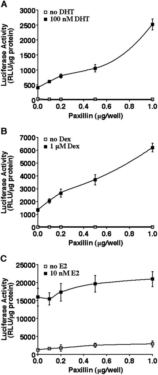 Fig. 5. Paxillin enhances AR and GR but not ER transactivation in CV-1 cells. CV-1 cells were transiently transfected with various amounts of a paxillin expression vector along with the appropriate luciferase reporter plasmid and AR (A), GR (B), or ER (C) expression vectors. After replacement of transfection medium with DMEM containing 5% charcoal-stripped FBS, the cells were incubated in the presence or absence of 10−7 m DHT (A), 10−6 m Dex (B), or 10−8 m 17β-estadiol (E2; C) for 24 h. Each point is the mean (bars, SD; n = 4) normalized to total protein levels in each sample.