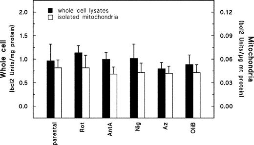 Fig. 3. Variations in intrinsic Δψm are not associated with coincident alterations in Bcl-2 levels. Bcl-2 levels were determined in whole cell lysates and in isolated mitochondria by ELISA. Data are expressed as means of at least three determinations ± SD.