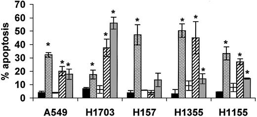 Fig. 2. Effect of PKC inhibitors on NSCLC apoptosis. NSCLC cells were plated and serum starved in the absence (black bars) or presence of PKC inhibitors [rottlerin (10 μm; horizontal hatched bars), Gö6976 (100 nm; white bars), calphostin C (1 μm; diagonally hatched bars), or chelerythrine (10 μm; gray bars)] for 48 h. Cells were harvested, and apoptosis was quantified via flow cytometry as described. Bars are the means ± SE from three independently performed experiments. Ps ≤ 0.05 are shown with ∗.
