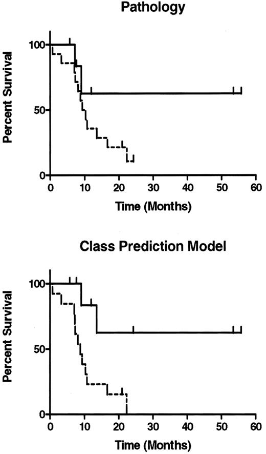 Fig. 2. Survival curves of patients with the 14 classic glioblastomas (dashed line) and 7 classic anaplastic oligodendrogliomas (solid line) used to train the 20-feature k-NN class prediction model. Survival curves were plotted according to classifications based on either traditional pathology or the class prediction model. When classic tumors were sorted according to pathology, a clear distinction was found between survival of patients with glioblastoma and those with anaplastic oligodendroglioma, although this comparison was not significantly different (P = 0.21). Survival curves generated using class distinctions according to the class prediction model were significantly different (P = 0.031).