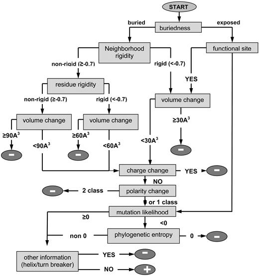 Fig. 3. Classification tree for annotating a given missense mutation in the human BRCA1 BRCT domains. The classification begins at the top (Start) and ends at one of the “+” or “-” leaves. The “+” and “-” indicate mutants with intact (benign) and abolished transcriptional activation function (cancer-associated), respectively. This classification tree correctly rationalizes 32 of the 37 functionally characterized variants (Table 1)<$REFLINK>. The tree was also applied to 57 mutants that have not yet been characterized by experiment (Table 2)<$REFLINK>. See “Materials and Methods” and Supplementary Material for a detailed description of the features.