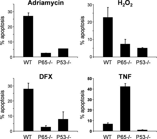 Fig. 1. Cultures of E1a-expressing, wild-type (WT), p53−/−, and p65−/− mouse fibroblasts were treated with the compounds indicated for 24 h. Cells, both adherent and floating, were then harvested and analyzed by flow cytometry. The percentage of cells with a sub-G1 content was taken as a measurement of apoptotic rate.
