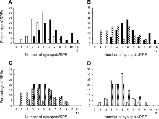Fig. 2. The frequency of eyespots in the retinal pigment epithelium (RPE) of N-acetyl-l-cysteine (NAC)-treated and untreated Atm−/− mice and their respective wild-type controls. A, Atm−/− mice (black bars) and Atm+/+ mice (open bars). B, NAC-treated Atm−/− mice (diagonally striped bars) and untreated Atm−/− mice (black bars). C, NAC-treated Atm−/− mice (diagonally striped bars) and NAC-treated Atm+/+ mice (horizontally striped bars). D, NAC-treated Atm+/+ mice (horizontally striped bars) and untreated Atm+/+ mice (open bars).
