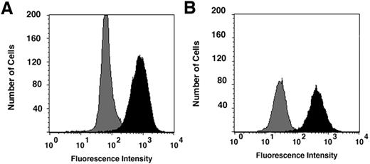 Fig. 1. Cell surface expression of HER2/neu target antigen. Expression of HER2/neu on both target cell lines was determined by flow cytometry. SK-OV-3 (A) or MDA-361/DYT2 (B) cells were stained with an irrelevant murine mAb (gray) or with the murine anti-HER2/neu mAb 520C9 (black), followed by goat antimouse-FITC.