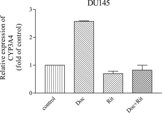 Fig. 3. Effect of ritonavir on docetaxel-induced expression of CYP3A4 transcripts in DU145 cells. Cells were cultured for 24 hours with docetaxel (10−9 mol/L), ritonavir (10−5 mol/L), or both. RNA was extracted, and cDNA was synthesized and subjected to real-time PCR to measure the level of CYP3A4. Data represent mean ± SD of triplicate cultures. Doc, docetaxel; Rit, ritonavir.