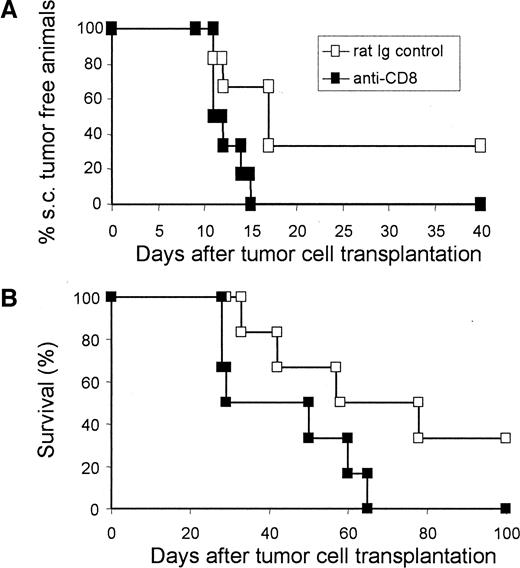 Fig. 4. Role of CD8+ T cells in the control of melanoma in MT/ret mice with vitiligo. A, MT/ret mice displaying melanoma-associated vitiligo received injections of the following rat antibodies: control IgG (□; n = 6) or anti-CD8 (▪; n = 6). One day later, mice were injected s.c. with 5 × 105 Melan-ret cells. Antibody treatments were repeated every 4 days until day 40. All of the mice displayed vitiligo and exophthalmus without facial or dorsal nodules; therefore, they displayed no significant difference of tumor load. Mice in both groups were 4–7 months of age. Tumor growth was monitored twice a week. Values are expressed as a percentage of tumor-free mice at the indicated time after tumor cell transplantation. The CD8 T-cell-depleted group had a tumor incidence higher than the group treated with control non-depleting IgG, and tumor development was enhanced (log-rank test, P = 0.0271). B, survival curve of mice in A treated with the control rat IgG (□) or anti-CD8 (▪).