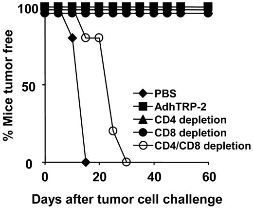 Fig. 3. CD4+ and CD8+ T cells can mediate tumor rejection. C57BL/6 mice were immunized intradermally with adenovirus encoding human tyrosinase-related protein 2 (AdhTrp-2), challenged with 1 × 105 B16F10 cells 14 days after immunization, and monitored for the onset of tumor formation. Antibody depletion was initiated 2 days before tumor challenge and then once a week until most control animals (PBS-injected mice) developed palpable tumors. The results are representative of two experiments with five mice for each group.