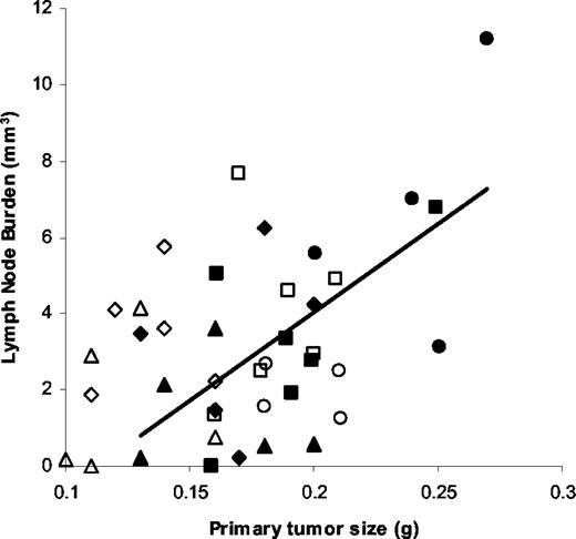Fig. 2. The relationship between tumor size and lymph node metastasis. Fluorescent orthotopic ME-180 tumors derived from four i.m. donor tumors were excised after 3 weeks of growth and weighed. After dissection, local lymph node metastases were quantified by fluorescent microscopy. Lymph node burden is the sum of the volumes of all involved nodes. Data are shown in solid symbols for untreated animals (control) and in open symbols for animals exposed to the acute hypoxia treatment daily during tumor development (acute hypoxia). Symbols represent tumors derived from the same i.m. donor tumor. Each point represents an individual animal. The correlation between tumor size and lymph node burden is statistically significant for animals in the control group (P < 0.01).
