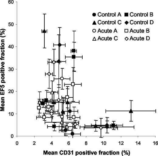 Fig. 3. The relationship between hypoxic fraction and relative vascular area. After 21 days of tumor growth, the hypoxic fraction and the relative vascular area were calculated by quantifying the proportion of the tumor area staining positive for EF5 and CD31, respectively, on five histological sections per tumor. Data are shown for untreated animals (control) and animals exposed daily to the acute hypoxia treatment (acute hypoxia). Each point represents an individual animal, and different symbols represent orthotopic tumors derived from the four i.m. donor tumors. Error bars represent 1 SD. EF5, 2-(2-nitro-1H-imidazole-1-yl)-N-(2,2,3,3,3-pentafluoropropyl) acetamide.