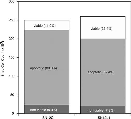 Fig. 2. Percentage of viable, apoptotic, and nonviable tumor cells shed into the circulation. There is a statistically significant difference in the number of viable shed tumor cells between the low and high metastatic tumors (P < 0.05; Student’s t test).