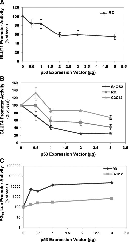 Fig. 1. Wild-type p53 represses GLUT1 and GLUT4 promoter activity in a dose-dependent manner. SaOS-2, RD, and C2C12 cells grown in 100-mm dishes were transfected with affinity-purified cDNA using the calcium phosphate DNA precipitation method. Cells were transfected with 10 μg of pGLUT1-P-Luc, pGLUT4-P-Luc, or PG13-Luc promoter-reporters and 0–5 μg of wild-type p53 expression vector. Forty-eight h after transfection, activation of the GLUT1, GLUT4, and PG13 promoters was determined by measuring relative luciferase activity normalized to total protein levels within each sample. The induced promoter activity was expressed as a percentage of its basal levels, i.e., luciferase activity in cells that were transfected with the promoter-reporter in the absence of exogenous p53. Each point in the figure represents the average of data obtained in three separate experiments performed in triplicate ± SE. A, RD cells were cotransfected with GLUT1-P-Luc and 0–5 μg of wild-type p53 (pCB6+/wt p53). B, SaOS-2, RD, and C2Cl2 cells were cotransfected with GLUT4-P-Luc and 0–3 μg of wild-type p53 expression vector (pCB6+/wt p53), as indicated. C, RD cells and C2C12 myotubes were cotransfected with PG13-Luc and 0–3 μg of wild-type p53 expression vector (pCB6+/wt p53).