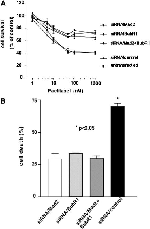 Fig. 2. Induction of paclitaxel resistance via loss of spindle assembly checkpoint. A, increased paclitaxel resistance by suppression of BubR1, MAD2, or both. MCF-7 cells transfected with small-interfering RNA (siRNA)/Mad2, BubR1, or both were examined using 3-(4,5-dimethylthiazol-2-yl)-2,5-diphenyltetrazolium bromide assay to determine the effects of paclitaxel on cell growth. Twelve h after transfection, the cells were detached by trypsinization. Twelve h after seeding, cells were treated with paclitaxel at various concentrations. Bars, SDs. B, decreased paclitaxel-induced cell death by suppression of BubR1, MAD2, or both. MCF-7 cells transfected with siRNA/Mad2, BubR1, or both were examined for cell death induced by paclitaxel. Twenty-four h after transfection, cells were treated with paclitaxel (100 nm) for 48 h. Cell viability was assessed using trypan blue exclusion assay. Bars, SDs.