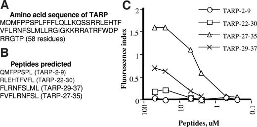 Fig. 1. Prediction of wild-type HLA-A2 epitopes and their binding affinities to HLA-A2 molecules. A, amino acid sequence of the TARP protein; B, predicted-HLAA2-binding peptides. C, peptides were dissolved in double-distilled water or 20% DMSO in double-distilled water, and then different concentrations of peptides were added into the culture of TAP-deficient T2 cells. After overnight culture of the cells in medium supplemented with β2-microglobulin, cells were stained with anti-HLA-A2. Each assay was performed in triplicate, and data in this figure are representative of two experiments with similar results.