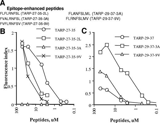 Fig. 3. HLA-A2 epitope enhancement by amino acid substitutions in the wild-type peptides. A, amino acid sequences of predicted enhanced epitopes. B and C, binding affinity of the substituted TARP27–35 peptides (B) or the substituted TARP29–37 peptides (C) to HLA-A2 molecules. Peptides were dissolved in double-distilled water or 20% DMSO, and then different concentrations of peptides were added into the culture of TAP-deficient T2 cells. After overnight culture of the cells in medium supplemented with β2-microglobulin, cells were stained with anti-HLA-A2. Each assay was performed in triplicate, and data in this figure are representative of two experiments with similar results.