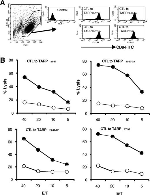 Fig. 5. Human CD8+ CTLs raised by in vitro stimulation kill peptide-loaded target cells. CD8+ T cells from a prostate cancer patient were restimulated with 10 μm peptide-pulsed autologous dendritic cells (DCs). DCs were derived from the culture of autologous monocytes in granulocyte macrophage colony-stimulating factor and interleukin 4. To mature the DCs, CD40 ligand (2 μg/ml) was added on day 4, and then cells were further cultured for 2–3 days before loading peptides. After several cycles of in vitro restimulation, CD8+ T cells were used as effector cells. A, cells were stained with anti-CD8α or isotype control antibody. B, in 5-h 51Cr release assay, C1R-A2.1 cells were labeled with 51Cr and then pulsed with peptides. Closed and open circles represent target cells pulsed with and without peptides, respectively. Data are representative of two repeated experiments with similar results.