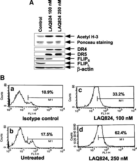 Fig. 9. LAQ824 induces histone acetylation, increases DR4 and DR5 levels, as well as down-regulates FLIPS and FLIPL in primary acute myelogenous leukemia (AML) cells. A, AML cells were treated with LAQ824 at the indicated concentrations for 24 h. After this histone protein was isolated, and the histone H3 acetylation was detected by Western blot analysis using the antiacetylated histone H3 antibody. Total cell lysates of the untreated and LAQ824-treated cells were also used for immunoblot analyses of DR5, DR4, FLIPL, and FLIPS. β-Actin was used as the loading control. B, bone marrow mononuclear cells from a patient with AML were exposed to 100 or 250 nm of LAQ824 for 24 h. After this, cell-membrane expression of DR5 was determined by staining with anti-DR5 antibody and evaluated by flow cytometry. Flow cytometric histograms in a–d are from cells treated with: a, isotype control; b, untreated control cells; c, 100 nm LAQ824; and d, 250 nm LAQ824.
