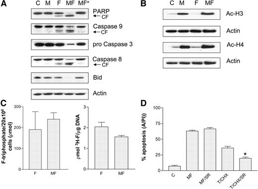 Fig. 3. A, Jurkat cells were sequentially exposed to 500 nm MS-275 (48 h; M), 500 nm fludarabine (24 h; F), or the combination in the presence (MF+) or absence (MF) of 25 μm Boc-d-fmk. At the end of this period, cells were lysed, the proteins separated by SDS-PAGE, and Western blot analysis used to monitor the expression of poly(ADP-ribose) polymerase (PARP), caspase-9, caspase-3, caspase-8, and Bid. B, cell were exposed to MS-275 ± fludarabine as in A, after which, acetylated histones H3 and H4 were monitored by Western blot analysis as described in “Materials and Methods.” For A and B, blots were stripped and reprobed with antibodies to actin to ensure equivalent loading and transfer. Each lane contained 30 μg of protein; two additional experiments yielded similar results. C, Jurkat cells were cultured in medium or medium containing 500 nm MS-275 for 44 h, after which, they were exposed to 500 nm unlabeled or [3H]-labeled fludarabine for 4 h. Cells were then lysed and F-ara-ATP levels determined by high-performance liquid chromatography or [3H]fludarabine (DNA) incorporation determined as described in “Materials and Methods.” For both F-ara-ATP and [3H]fludarabine (DNA) incorporation, values represent the means for three separate experiments ± SE. D, Jurkat cells were exposed to 500 nm MS-275 + 500 nm fludarabine (MF) or tumor necrosis factor (TNF)-α (T; 10 ng/ml) + cycloheximide (CHX; 1 μm) for 48 h in the absence or presence of TNF-soluble receptor (SR; 100 ng/ml), after which, apoptosis was monitored by annexin V/PI analysis. Values represent the means ± SD for three separate experiments performed in triplicate. ∗, significantly less than values for cells exposed to TNF/CHX in the absence of TNF-SR; P < 0.02.
