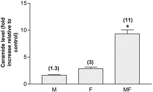 Fig. 10. Jurkat cells were exposed to 500 nm fludarabine (F; 24 h) after a 24-h exposure to either drug-free medium or medium containing 500 nm MS-275 (M). At the end of this period, ceramide levels, normalized to levels of total phospholipids, were compared with those of untreated control cells. Values are expressed as fold increases over control levels and represent the means for five separate determinations ± SE basal (unstimulated) ceramide levels were 15 ± 6 pmol ceramide/nm phospholipid. ∗, significantly greater than values for fludarabine alone; P < 0.0001.