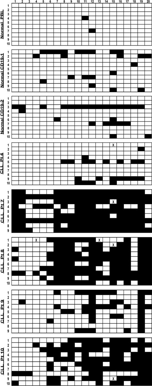 Fig. 3. Bisulfite sequencing of the GRM7 5′ region. Bisulfite sequencing was performed to examine 20 CGs in the 5′ region of GRM7. The □ indicate unmethylated CGs and ▪ indicate methylated CGs. X indicates that the sequence in that area could not be evaluated. The location of this region relative to the transcription start site is shown in Fig. 2<$REFLINK>A. Each horizontal line represents the analysis of one randomly selected clone.