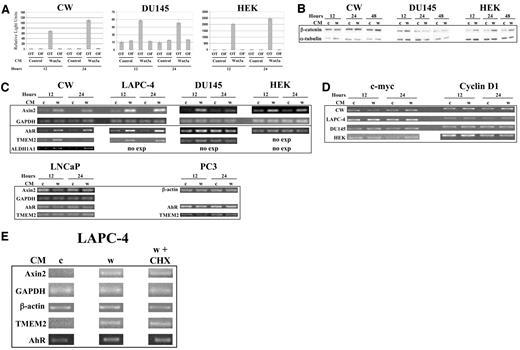 Fig. 3. Measuring the effects of wnt3a-conditioned media on putative β-catenin target gene expression. A, all luciferase assays were performed in a 96-well format using a dual luciferase (firefly and Renilla) system. Cells were transfected with 50 ng of luciferase reporter [wild-type (OT) or mutant (OF)] and 5 ng pRL-CMV. Commencing 1 day after transfection, 50 μl of either control or wnt3a-conditioned media (CM) were incubated with cells for two different time points before luciferase assay. Firefly luciferase activity (experimental) was normalized to Renilla luciferase activity to obtain “relative light units.” OT and OF denote the reporter vectors pOT and pOF, respectively. B, cells were incubated in 24-well plates with 0.5 ml either control (c) or wnt3a (w) CM for the listed time points. Five μg total protein from RIPA lysates was resolved by 10% SDS-PAGE, transferred to nitrocellulose, and probed for β-catenin and α-tubulin (loading control) by ECL assay. CWR22-Rv1 (CW) cells show increased β-catenin protein levels after 24- and 48-h treatment with wnt3a. C, RT-PCR assays were performed and processed as in Fig. 1<$REFLINK>. RNA was purified from the listed cells after two different time periods of treatment with either CM. Certain of the genes analyzed were not expressed in cell lines and are denoted as “no exp” (no expression). Note that, for PC3 cells, β-actin expression was analyzed (not GAPDH) to monitor mRNA/cDNA input in this particular experiment. D, c-Myc and cyclin-D1 gene expression was analyzed by RT-PCR using the same mRNA/cDNA preparations used in C. E, RT-PCR analysis was used to examine the role of de novo protein synthesis in the response of putative target gene expression to wnt3a signal. LAPC-4 cells were treated with control CM (c), wnt3a-CM (w), or wnt3a-CM plus 20 μg/ml cycloheximide (CHX) for 12 h before RNA preparation. Thirty min before initiation of CM/CHX incubation, regular medium was added to cells ±20 μg/ml CHX, as appropriate. Separate experiments verified the effectiveness of CHX inhibition toward protein translation (data not shown). Both GAPDH and β-actin messages were assessed to tightly monitor equal mRNA/cDNA input into this RT-PCR experiment. C–E, as in Fig. 1<$REFLINK>, amplified products were visualized on agarose gels by ethidium bromide staining.