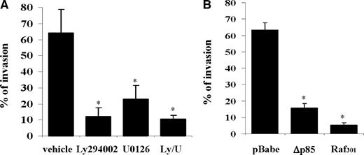 Fig. 2. Down-regulation of phosphatidylinositol 3′-kinase/Akt and mitogen-activated protein kinase kinase/extracellular signal-regulated kinase blocks 1984-1 invasion in vitro. A, invasion of 1984-1 cells treated with Ly294002 (50 μm) and/or U0126 (10 μm) through a Matrigel matrix. Percentage of invasion was calculated as described in “Materials and Methods.” B, invasion of 1984-1 cells expressing the genetic inhibitors Δp85 and Raf301. Data (A and B) are representative of three independent experiments. All treatment groups were significantly reduced when compared with control (∗, P < 0.05, Student’s t test).