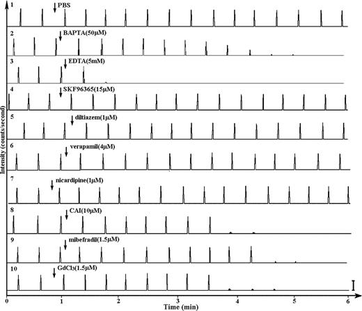 Fig. 2. Effect of SKF96365, diltiazem, verapamil, nicardipine, carboxyamido-triazole (CAI), mibefradil, and Gd3+ on Ca2+ spikes in HT1080 cells. Indo-1-labeled HT1080 cells were allowed to polarize on coverslips. Ca2+ spikes were followed over time using a microfluorometry apparatus. Experiments were performed using long-time base to reveal changes in Ca2+ spikes over a period of minutes after the addition of reagents (arrows). The addition of PBS (trace 1), BAPTA (50 μm; trace 2), EDTA (5 mm; trace 3), SKF96365 (15 μm; trace 4), diltiazem (1 μm; trace 5), verapamil (4 μm; trace 6), and nicardipine (1 μm; trace 7) had no effect on Ca2+ spikes of HT1080 cells. However, when CAI (10 μm; trace 8), mibefradil (1.5 μm; trace 9), or Gd3+ (1.5 μm; trace 10) were added to cells, the fluorescence intensity of spikes diminished greatly, thus forming small Ca2+ “bumps.” The Ca2+ signals were eliminated within minutes. Bar = 2000 counts (n = 3).