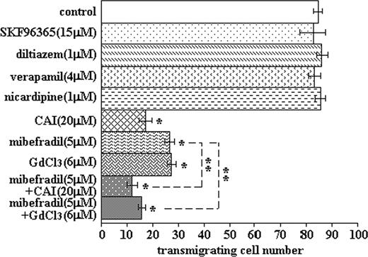 Fig. 8. The combined inhibitory effect of T-type and nonvoltage-gated channel blockers on HT1080 invasion. Matrigel chambers were used as described in Fig. 7<$REFLINK>. Untreated and negative control Ca2+ channel blockers [SKF96365 (15 μm), diltiazem (1 μm), verapamil (4 μm), and nicardipine (1 μm)] gave similar levels of cell invasiveness. Carboxyamido-triazole (CAI; 5 μm), mibefradil (5 μm), and Gd3+ (6 μm) showed significant inhibition of cell invasion. When 5 μm mibefradil and 6 μm Gd3+ were added simultaneously to cells, the inhibition was enhanced ≤95%. The combination of CAI (20 μm) and mibefradil (5 μm) also showed greater inhibition of cell invasiveness (n = 4; ∗, P < 0.001 in comparison with controls; ∗∗, P < 0.01 with respect to the comparisons indicated).
