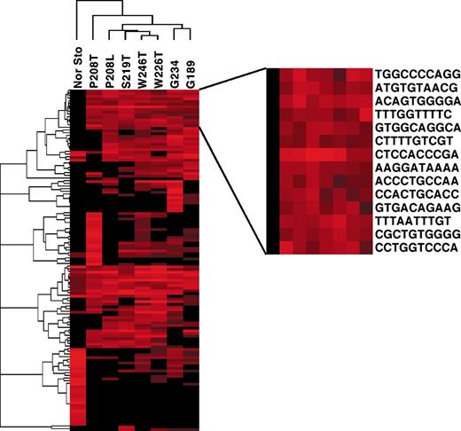 Fig. 2. Cluster analysis of 128 tags form eight serial analysis of gene expression (SAGE) libraries and dendrogram showing similarities in expression patterns among libraries. Tags were selected as described in the “Materials and Methods.” Brackets indicate the cluster of tags commonly up-regulated in gastric carcinoma, which is expanded in size on the right for visualization. On the dendrogram, two intestinal type gastric carcinoma samples cluster together, indicating their high degree of similarity. Each row represents a tag, whereas each column corresponds to a SAGE library sample. The absolute abundance of the SAGE tag in the library (SAGE tag number) correlates with the intensity of the red color (black, not present; intense red, highly abundant).