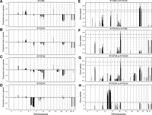 Fig. 2. Heterogeneity in genomic copy number abnormalities in the RIP1-Tag2 and RIP1-Tag5 transgenic mouse lines. The frequencies of genomic copy number abnormalities in three inbred RIP1-Tag2 sublines (B6, C3H, and FVB) and the RIP1-Tag5C3H line are depicted in A–D as a function of distance along the genome. Data are represented with chromosome 1pter to the left and chromosomes 19qter and Xqter to the right. Vertical lines, chromosome boundaries. CNG2, CNG4, CNL6, CNL9, and CNL16 were detected in all three lines but at different frequencies. CNL14 was only detected in the RIP1-Tag2/FVB background, although it has been detected previously in tumors from DBAB6F1 and C3HB6F1 backgrounds (9). The frequency of CNL16 is significantly higher in the RIP1-Tag2/B6 line compared with the RIP1-Tag2/C3H line (E), whereas CNL9 was higher in the FVB line compared with both B6 and C3H (F and G). CNLl6 was detected at significantly higher rates in comparing the RIP1-Tag2/C3H and RIP1-Tag5/C3H lines (H). Horizontal dotted lines in E–H, adjusted Ps of 0.01 (top) and 0.05 (bottom).