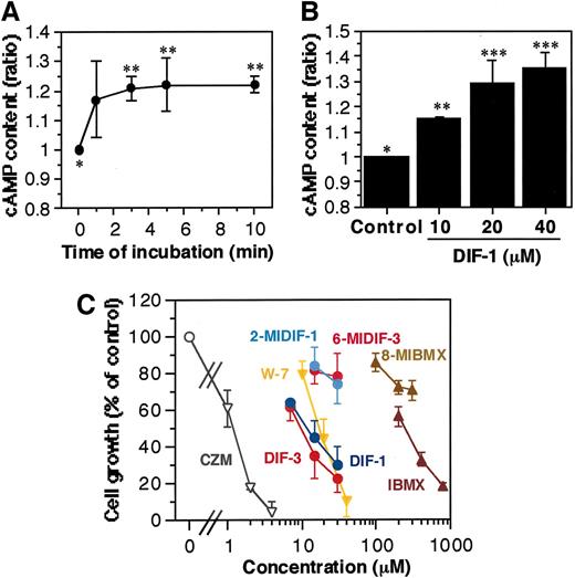 Fig. 2. Effects of differentiation-inducing factor-1 (DIF-1) on intracellular cyclic AMP ([cAMP]i) and cell growth in K562 cells. A, K562 cells were incubated for the indicated times with 20 μm DIF-1, and cAMP content was assessed. Values are the mean ± SD of three independent experiments (n = 3). ∗∗, P < 0.03 versus ∗control (by ANOVA, post hoc Fisher’s protected least significant difference). B, K562 cells were incubated for 5 min with 10–40 μm DIF-1, and cAMP content was assessed. Values are the mean ± one-half of the range of two independent experiments (n = 2). DIF-1 increased [cAMP]i in a dose-dependent manner. ∗∗, P < 0.05 versus ∗control; ∗∗∗, P < 0.005 versus ∗control. C, K562 cells were incubated for 3 days with the indicated drugs, and the cell number was assessed. Drugs used are the DIF-analogs, DIF-1, DIF-3, 2-methoxy isomer of DIF-1 (2-MIDIF-1), and 6-methoxy isomer of DIF-3 (6-MIDIF-3); the calmodulin inhibitors, calmidazolium (CZM) and W-7; the PDE1 inhibitor, 8-methoxymethyl-3-isobutyl-1-methylxanthine (8-MIBMX); and the nonselective PDE inhibitor, 3-isobutyl-1-methylxanthine (IBMX). Values are the mean ± SD of three independent experiments (n = 3).