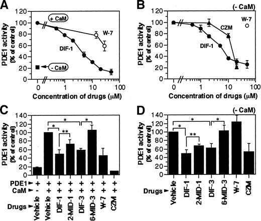 Fig. 3. Effects of differentiation-inducing factor-1 (DIF-1) and its analogs on phosphodiesterase (PDE1) activity. A, bovine PDE1 (5 mU/tube) was incubated in vitro in an assay buffer with various concentrations of DIF-1 (•) or W-7 (○) in the presence (○, •, + CaM) or absence (▪, − CaM) of bovine calmodulin (CaM; 10 units/tube) for 10 min, and the samples were assayed for enzymatic activity. Every sample contains 1% (v/v) ethanol as a vehicle. Values are the mean ± one-half of the range of two independent experiments (n = 2). B, PDE1 (10 mU/tube) was incubated in an assay buffer with various concentrations of DIF-1(•), W-7(○), or calmidazolium (CZM; ▴) in the absence of CaM (− CaM); and the samples were assayed for enzymatic activity. Values are the mean ± one-half of the range of two independent experiments (n = 2). C, PDE1 (5 mU/tube) was incubated in an assay buffer with 5 μm of DIF-1, DIF-3, 2-methoxy isomer of DIF-1 [2-MIDIF-1 (2-MID-1)], or 6-methoxy isomer of DIF-3 [6-MIDIF-3 (6-MID-3)], or with 50 μm W-7, 10 μm CZM, or 1% ethanol (Vehicle) in the presence (+) or absence (-) of CaM (10 units/tube) for 10 min; and the samples were assayed for enzymatic activity. Values are the mean ± SD of three independent experiments (n = 3). ∗, P < 0.001; ∗∗, P < 0.005. D, PDE1 (10 mU/tube) was incubated in an assay buffer with 5 μm of DIF-1, DIF-3, 2-MIDIF-1 (2-MID-1), or 6-MIDIF-3 (6-MID-3), or with 50 μm W-7, 10 μm CZM, or 1% ethanol (Vehicle) in the absence of CaM (− CaM) for 10 min; and the samples were assayed for enzymatic activity. Values are the mean ± SD of three independent experiments (n = 3). ∗, P < 0.001; ∗∗, P < 0.05.