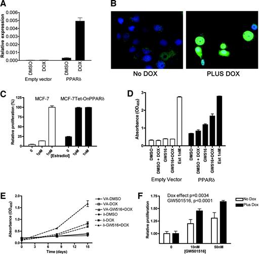Fig. 7. Doxycycline (DOX)-regulated peroxisome proliferator-activated receptor δ (PPARδ) expression increases the proliferative response to GW501516. MCF7 Tet-On human PPARδ (hPPARδ) and MCF7 Tet-On empty vector cells were treated with 2 μg/ml DOX (PLUS DOX) or solvent alone (No DOX) for 48 h. A, the steady-state levels of mRNA encoding PPARδ were measured by quantitative real-time-PCR. B, PPARδ protein levels were visualized by fluorescence-based immunohistochemistry. PPARδ was visualized using FITC (green), and the chromatin was counterstained with 4′,6-diamidino-2-phenylindole (blue). C, MCF7 and MCF7 Tet-On hPPARδ cells were cultured with different concentrations of estradiol. D, MCF7 Tet-On hPPARδ cells and MCF7 Tet-On empty vector cells were grown for 15 days in the presence or absence of DOX and/or GW501516 (GW516, 50 nm). The relative cell proliferation was determined. Est, estradiol. E, the time dependency of this experiment is shown. VA-DMSO, vector alone + vehicle; VA-DOX, vector alone + DOX; VA-GW515+DOX, vector alone +GW501516+DOX; δ-DMSO, PPARδ+vehicle; δ-DOX, PPARδ+DOX; δ-GW516+DOX, PPARδ+GW501516+DOX. F, the effects of GW501516 and DOX were tested by two-way ANOVA, and the resulting Ps are shown. Error bars, the SE of three replicate cultures. The experiment was repeated four times.
