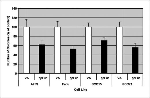 Figure 3. Cells (4 × 103) were seeded in triplicate in soft agar–covered plates. After 14 days, colonies >100 μm in diameter were counted. Columns, mean of two experiments done in duplicate; bars, SE.