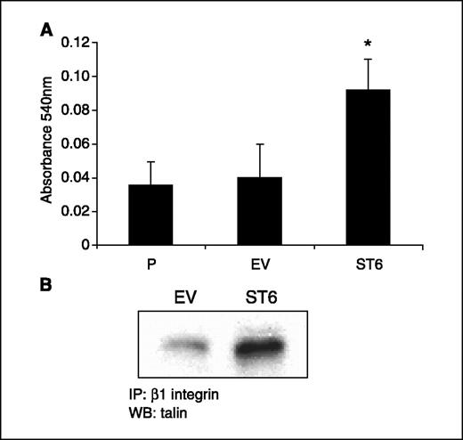 Hypersialylation of β1 Integrins, Observed in Colon Adenocarcinoma, May ...