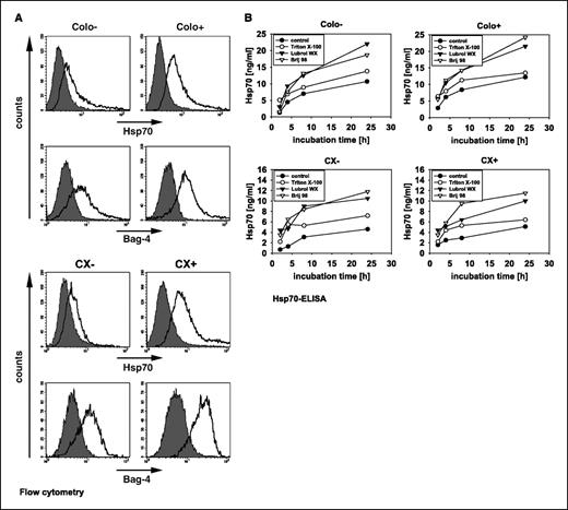 Figure 1. A, expression of Hsp70 and Bag-4 on the plasma membrane of human pancreas (Colo−/Colo+) and colon (CX−/CX+) carcinoma sublines. Nonpermeabilized, 7-AAD negatively gated, viable carcinoma sublines Colo−/Colo+ and CX−/CX+ with intact plasma membrane were stained either with Hsp70− (cmHsp70.1) or Bag-4 (IMG-152) specific antibodies and analyzed by flow cytometry. The histograms represent positively stained cells in white, corrected for nonspecific staining, using an isotype-matched control antibody marked in gray. Mean values ± SE of three independent were summarized in Table 1A. B, Hsp70 and Bag-4 were actively released in detergent-soluble vesicles by viable carcinoma sublines. The amount of Hsp70 protein released by tumor sublines Colo−/Colo+ and CX−/CX+ was quantified by ELISA. Cell-free supernatants of Colo−/Colo+ (top) and CX−/CX+ (bottom) cells, diluted either in PBS buffer (control, •), or in buffer containing the detergent Triton X-100 (1% v/v, ○), Lubrol WX (1% v/v, △), and Brij 98 (0.5% v/v, ▴) were analyzed. One representative kinetic of three independent experiments was illustrated.
