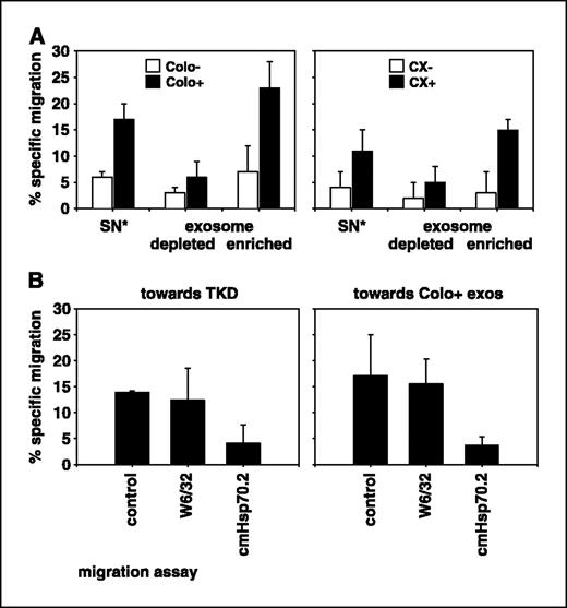 Figure 3. CD94+ NK cells specifically migrate toward Hsp70/Bag-4–positive exosomes derived from Colo+ and CX+ carcinoma sublines. A, VivaSpin treated (2-fold concentrated) supernatants (SN*) collected after a 24-hour cultivation period in serum-free medium, derived from Colo−/Colo+ (left) and CX−/CX+ (right) carcinoma sublines were used as positive controls for the migratory capacity of CD94+ NK cells. Exosome-depleted and exosome-enriched fractions derived from the same supernatants by ultracentrifugation at 150,000 × g were also used as attractants for NK cells. The transwell system consisted of two compartments separated by a polycarbonate membrane with a pore size of 5 μm. The different attractants, unseparated supernatant (SN*), exosome-depleted, and exosome-enriched fractions were placed in the lower compartment in a total volume of 600 μL; 0.5 × 106 51Cr-labeled CD94+ NK cells were placed in the upper compartment. After a 4-hour coincubation period at 37°C, the percentage of specifically migrating cells was determined in a γ-counter. B, migratory capacity of CD94+ NK cells was also tested toward Hsp70 peptide TKD (right) and exosomes derived from Colo+ carcinoma cells (left) either untreated or after preincubation with an MHC class I–specific (W6/32) or with an Hsp70-specific (cmHsp70.1) antibody. NK cells migrated specifically toward TKD and exosomes derived from Colo+ carcinoma cells. The MHC class I–specific antibody W6/32 did not affect migratory capacity; however, the Hsp70-specific antibody completely abrogated migratory capacity of NK cells toward TKD and Colo+ exosomes. Columns, mean of three independent experiments; bars, SE.