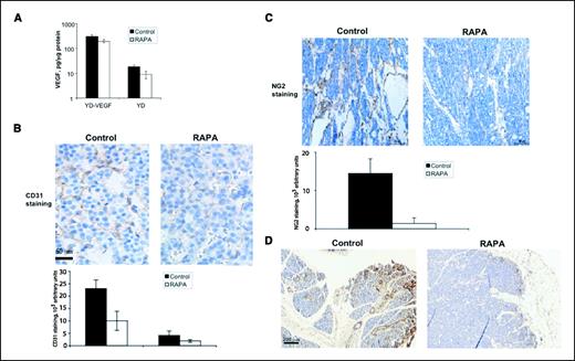 Figure 2. Effect of rapamycin on VEGF production and angiogenesis. A, VEGF protein expression. Samples from six different mice in each treatment group were analyzed for VEGF levels by ELISA. Columns, mean; bars, SE. Rapamycin inhibited VEGF expression by ∼46% in NeuYD mice and by 25% in NeuYD × VEGF mice (P < 0.01 for both treatment groups). B, CD31 immunohistochemistry. Representative tumor specimens from control or rapamycin-treated NeuYD × VEGF mice were stained with α-CD31 antibody (brown). Bottom, mean CD31 staining intensity from five different tumors (two samples per tumor) was quantified with Image-Pro 4.5.1 software. Columns, mean for each group; bars, SE. The effect of rapamycin on CD31 staining in both sets of tumors was significant (P < 0.01). C, NG2 immunohistochemistry. Tumor sections from NeuYD × VEGF mice were stained with NG2-specific antibody (brown). Bottom, average staining intensities were quantified as described in (B). D, HIF-1α expression. Frozen sections from control or rapamycin-treated tumors excised from NeuYD mice were stained with α-HIF-1α antibody (brown).
