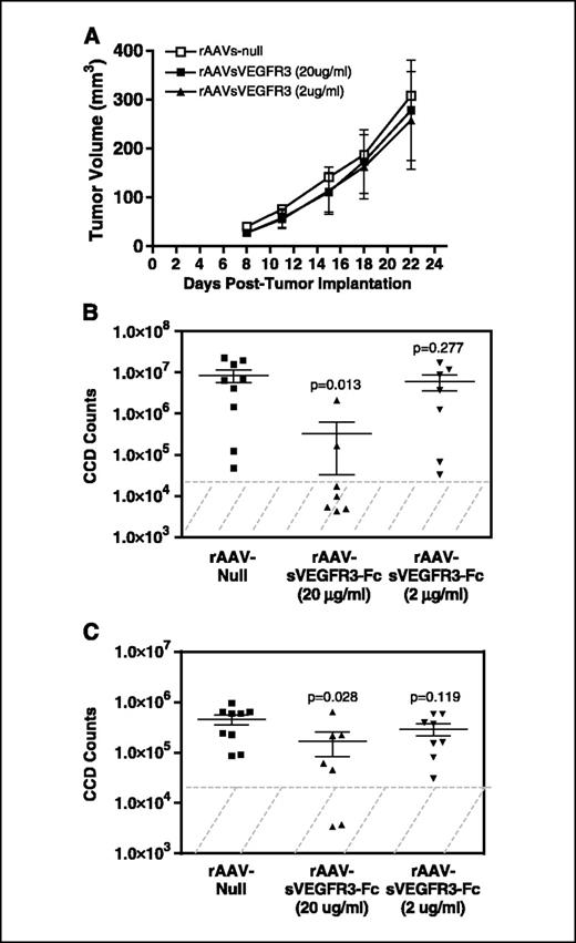 Figure 2. Dose-dependent effects of rAAV-sVEGFR3-Fc on blockade of A375-mln1 tumor metastasis to the lymph nodes and lungs. Immunodeficient mice were injected with 1.5 × 1011 or 3 × 1011 vg/animal of rAAV-sVEGFR3-Fc or rAAV-Null control vectors. Ten days following rAAV administration, mice were challenged s.c. with 3 × 106 A375-mln1 tumor cells that stably express a luciferase reporter gene and the primary tumor growth (A) was monitored over time. Lymph nodes (B) and the lungs (C) were evaluated for metastasis by bioluminescence at 3 weeks after s.c. tumor implantation. Shown are the bioluminescence CCD counts of six lymph nodes (axillary and inguinal nodes from both sides; B) and the entire lungs (C) collected from each animal. Lymph nodes and lungs collected from naïve mice had ≤3 × 104 CCD counts (hatched area), which represent background values. Bars in the scatter plots, mean ± SE CCD counts per group.