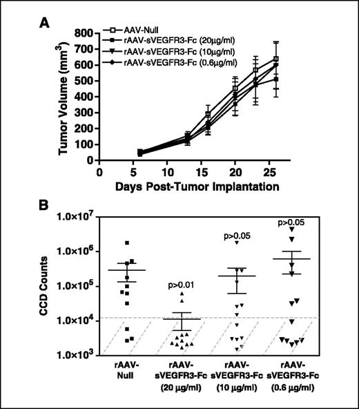 Figure 4. Systemic expression of rAAV-sVEGFR3-Fc inhibits PC-3-mlg2 tumor metastasis to the lymph nodes in immunodeficient mice. Immunodeficient mice were injected i.m. with rAAV-sVEGFR3-Fc at 3 × 1010, 7 × 1010, or 1.5 × 1011 vg/animal resulting in sustained systemic sVEGFR3-Fc levels of 0.6, 10, and 20 μg/mL, respectively. Ten days following rAAV administration, mice were challenged s.c. with 3 × 106 PC-3-mlg2 tumor cells that stably express a luciferase reporter gene and the growth of the primary tumor (A) was measured over time. Lymph nodes were evaluated for lymphogenous metastasis by bioluminescence at 5 weeks after tumor implantation. B, bioluminescence CCD counts of six lymph nodes (axillary and inguinal nodes from both sides) from control and treated mice. Lymph nodes collected from naïve mice had ≤1 × 104 CCD counts (hatched area), which represent background values. Bars in the scatter plots, mean ± SE CCD counts per group.