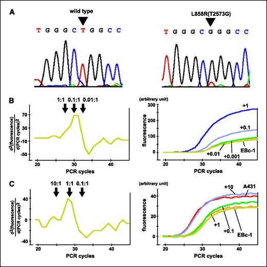 Figure 3. Detection of the subpopulation with an EGFR mutation. Representative results obtained from EBc-1 cells that have L858R (T2573G) mutation in about 10% of the cells (Table 2) are shown. A, direct nucleotide sequencing of exon 21 of the EGFR gene amplified by the conventional PCR (left) and by the PNA-LNA PCR clamp Reaction 4 lacking L858Rp probe (right, Table 1). B, semiquantification of the copy number of the mutant EGFR gene using the PNA-LNA PCR clamp Reaction 4 that detects L858R (T2573G) mutation. Left, second derivative of the amplification curve. Right, incremental addition of mutant DNA fragments at ratios of 0.001, 0.01, 0.1, or 1 molecule per haploid genome (+0.001, +0.01, +0.1, and +1). EBc-1, samples to which no mutant DNA fragment was added. C, semiquantification of the copy number of the EGFR gene. Exon 21 was amplified by the conventional PCR and the amplification signal was detected by Ex21t probe (Table 1) that detects exon 21 sequence located outside of the mutation sites. Left, second derivative of the amplification curve. Right, incremental addition of wild-type DNA fragments at ratios of 0.1, 1, or 10 molecules per haploid genome (+0.1, +1, and +10). EBc-1, samples to which no mutant DNA fragment was added. A431 that is known to have 30-fold increase in the copy number of the EGFR gene (26) was used as a control.