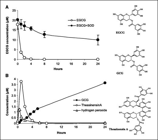 Figure 3. Stability of EGCG and formation of EGCG dimer, GCG, and H2O2 in KYSE 150 cell culture in the absence or presence of SOD. A, stability of EGCG (20 μmol/L) in the absence (○) or presence (•) of 5 U/ml SOD. B, generation of dimer, GCG, and H2O2 in the absence (○, ▵) or presence (•) of 5 units/mL SOD. The levels of EGCG dimer and H2O2 (in the presence of SOD) and GCG (in the absence of SOD) were at the baseline and were not shown. Structures of EGCG, GCG, and theasinensin A.