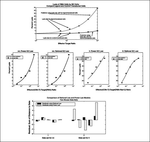 Figure 1. Comparison of mathematical cell lysis laws (power law versus rational law). Top, NK cell lysis. The top graph shows mathematical predictions from the model (smooth curves) plotted along with actual experimental data (squares and circles) from ref. 6 on RMA cells. The shallow curve predicts lysis percentages for the control cells, whereas the steep curve predicts lysis percentages for the ligand-transduced cells. Middle, CD8+ T-tumor cell lysis. The second row of graphs plots experimental data points (circles and squares) taken from ref. 6 against mathematical cell lysis predictions (solid lines). The two graphs on the left plot the power law prediction and the rational law prediction against lysis data for tumor cells of which primary and secondary challenges were with control-transduced tumor cells (RMA cells). The two graphs on the right plot the power law and rational law predictions against lysis data for tumor cells of which primary and secondary challenges were with ligand-transduced cells (RMA cells transduced with Rae1β ligand). Bottom, the bar chart in the bottom row plots the residuals (errors) for the same two data sets (CD8+ T-cell lysis of control-transduced and ligand-transduced tumor cells). The height of each bar shows the value predicted by the power and rational laws, minus the experimental data values at each effector/target ratio point. The difference between the power law and rational law models is most pronounced in the ligand-transduced case, in which the effector cells are far more efficient at lysing tumor cells.