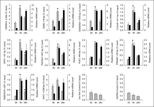 Figure 1. p53 binding to promoters of target genes as assessed by quantitative ChIP analysis. Amount of DNA recovered by p53 ChIP for cells before (0 hour) and following (4 and 24 hours) exposure to 10 Gy ionizing radiation (gray columns). Asterisk, significant difference as compared with 0 hour time point by t test (P < 0.05). Corresponding mRNA levels are indicated (black columns). Bars, SE for triplicate experiments.