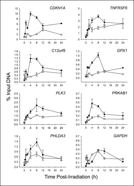 Figure 3. p53 occupancy at the promoter regions of target genes following ionizing radiation exposure. •, ATM+/+ cells; ○, ATM−/− cells. Bars, SE for triplicate experiments.