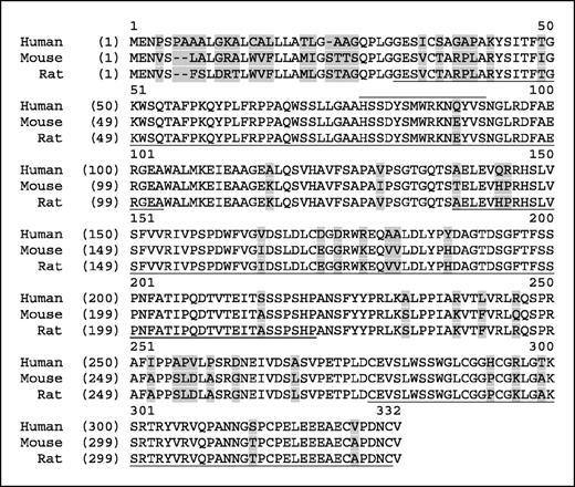 Figure 2. Sequence alignment of human, mouse, and rat mindin/RG-1 homologues. Human mindin/RG-1 belongs to a superfamily of extracellular matrix proteins. Human, mouse, and rat homologues in the spondin family show high similarity, exhibiting ∼85% identity at the protein level. Nonidentical amino acids are shaded. The following domains are underlined: FS1 (follistatin 1), 32 to 104; FS2 (follistatin 2), 139 to 222; TSP-1 (thrombospondin repeat–like 1), 279 to 331. The 3C peptide used to generate a rabbit polyclonal antibody is noted by the line above sequence 78 to 92.